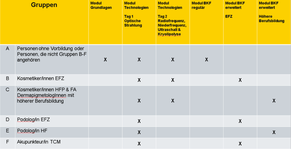 v-nissg ausbildung tabelle aufbau der module
